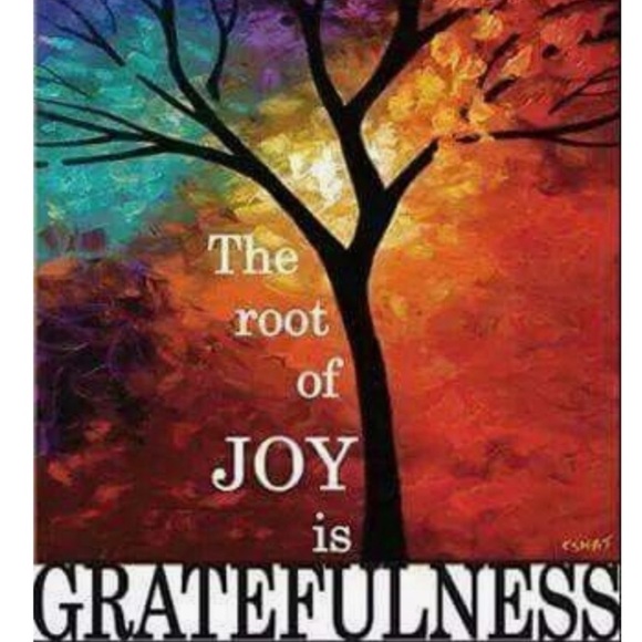 🦔 CAMOUFLAGE KNIT CAP 🛤️BURLINGTON NORTHERN EMPLOYEES Operation STOP 🛑 - Picture 12 of 16